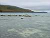 DSC03955.JPG