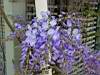 DSC04004.JPG