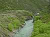 DSC04012.JPG