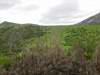 DSC04013.JPG