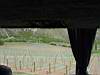 DSC04016.JPG