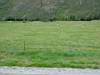 DSC04017.JPG