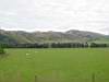 DSC04087.JPG