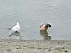 DSC04095.JPG