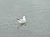 DSC04096.JPG