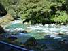 DSC04137.JPG