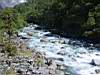 DSC04144.JPG