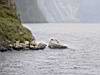 DSC04208.JPG