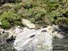 DSC04211.JPG