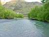 DSC04261.JPG