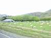 DSC04274.JPG